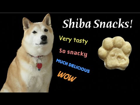 Shiba Snacks | Shiba Inu Dog treats