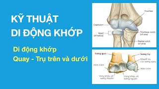 Kỹ thuật di động khớp: Khớp Quay Trụ Trên và Dưới
