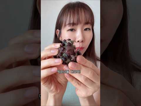 제주 오메기떡