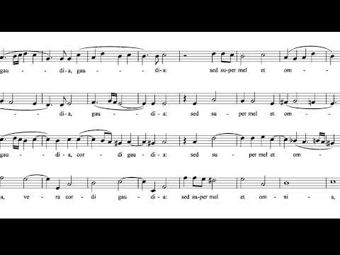 Jesu dulcis T.L. de Victoria - Tenor Choral Part