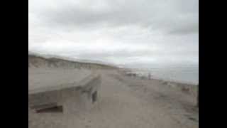 Leave Your Mark, by Edina Hum