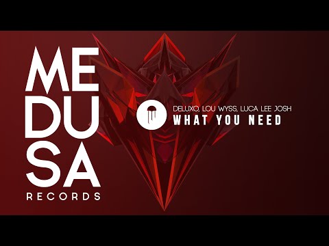 Deluxo, Lou Wyss, Luca Lee Josh - What You Need