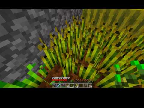 Let's Play Together Minecraft S03E06 [Deutsch/Full-HD] -Vorbauen