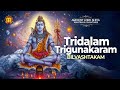 Tridalam Trigunakaram Bilvashtakam Video Ancient Lord Shiva Mantras Chantings