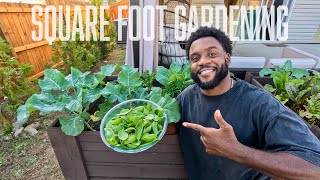 My Square Foot Gardening Journey + Fresh TROUT Dinner // Joy Chasers Ep. 10