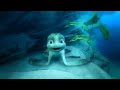 A Turtle S Tale Sammy S Adventures Sammy And Shelly Underwater