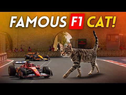Meet the FAMOUS F1 CAT at the AZERBAIJAN GP!