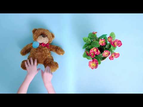 Hvordan rengør du en bamse? | Cleanipedia