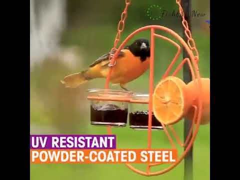 2 in 1 Hanging Clementine Hummingbird Oriole Feeder