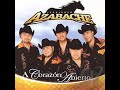 Conjunto azabache-adios y bienvenida