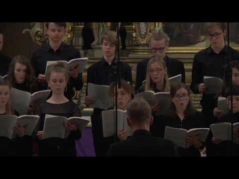 Martinsson/Lukaspassionen/Lisa Larsson/Hellström/St Petri/Einarsson 30. Damkör och solo