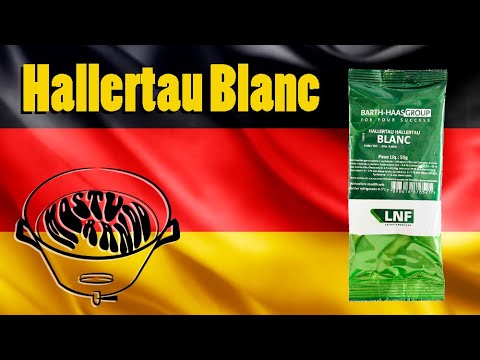 Lúpulo Hallertau Blanc