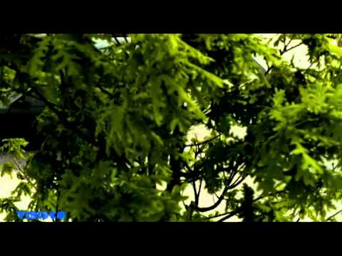 Miguel e André - Não Dá Pra Ser Feliz (Vídeo Oficial) (1999)