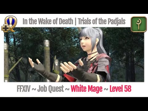 FFXIV White Mage Level 58 Job Quest ~ Heavensward ~ In the Wake of Death | Trials of the Padjals