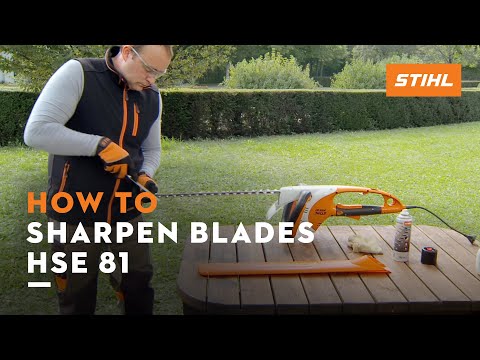 STIHL HSE 81 ꘡ How to sharpen the blades of an electric hedge trimmer | STIHL Tutorial