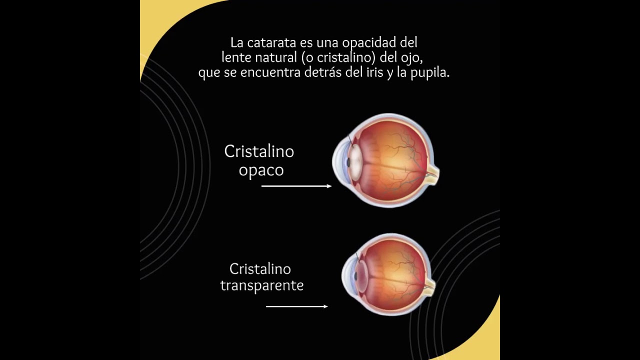 Mario Alejandro Aguado Arteaga-7