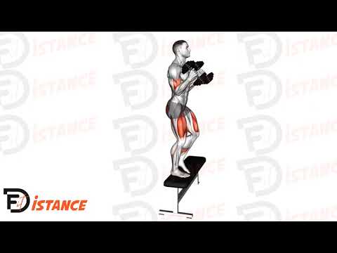 Exercice Curl biceps en montant sur un step avec haltères
