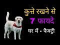 Seven Benefits Of Keeping Dog