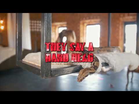 Video thumbnail -XOa1tBL4iY