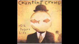 Counting Crows - Kid Things (Album Version, Hidden Track)
