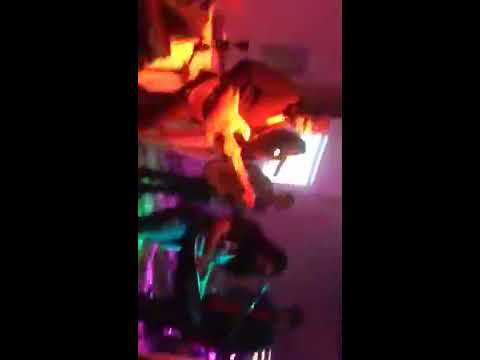 video presença do rei