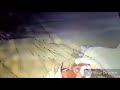 Bambi Crossover Part 19 Let S Sing In The Gay Of The Spring Song