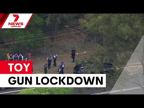 Sydney schools locked down over toy gun scare | 7NEWS