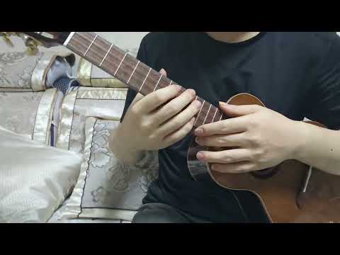 olamestre ancient Chinese cedar & bois de Rose tenor ukulele image 24