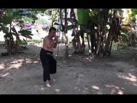 buah pukul dr ayhanda nik anwar waedong