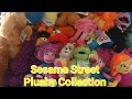 Sesame Street Character Plushy Collection Sunny Days Channel Paige S Collection