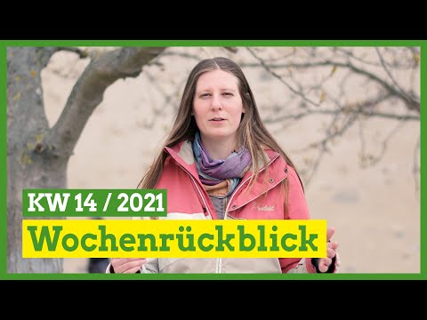 Der politische Wochenrückblick (Folge 13: KW 14)