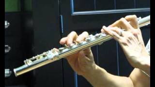 Video thumbnail for Gemeinhardt 3 Used Flute for Sale - Low and Mid Registers by Flutastic!