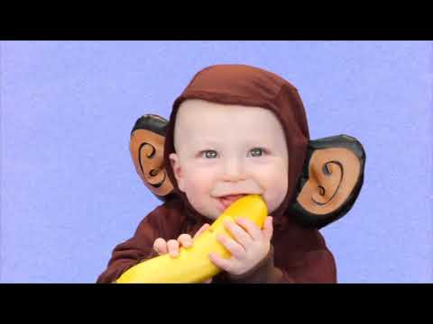 Your Baby Can Discover Volume 1