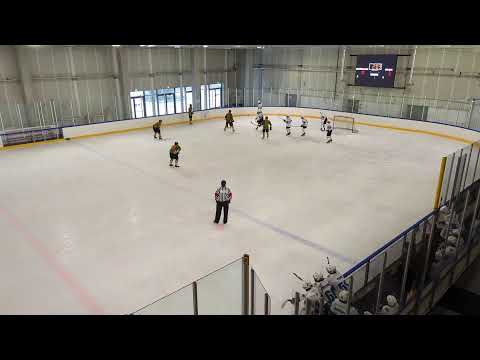 04.03.2023 Gelezinis vilkas - HS RĪGA 2008 T1