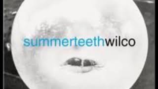 Wilco   Summerteeth Full Album