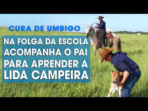 NA FOLGA DA ESCOLA, ACOMPANHA O PAI PARA APRENDER A LIDA CAMPEIRA - CURA DE UMBIGO DE BEZERROS