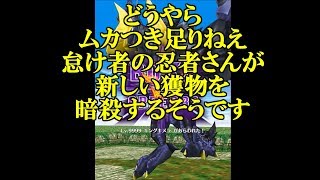 【白猫プロジェクト】どうやらムカつき足りねえ怠け者の忍者さんが、新しい獲物を暗殺するそうです【Lv9999キングキメラ】