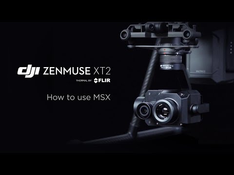 DJI Zenmuse XT 2 - How to use MSX