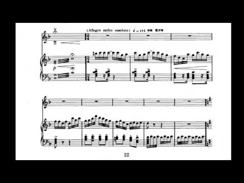 Chen Gang 陈钢/He Zhanhao 何占豪 - Butterfly Lovers' Violin Concerto 梁祝小提琴协奏曲 (Audio + Score)