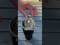 How To Make A Gravity Bong
