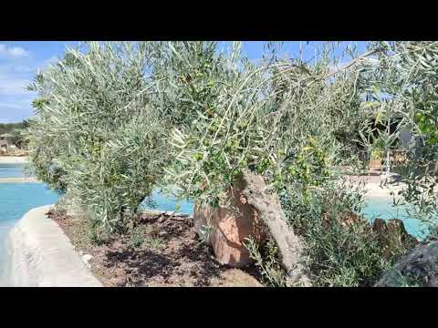 Terme Di Vulci 3 Settembre 2021 (2)