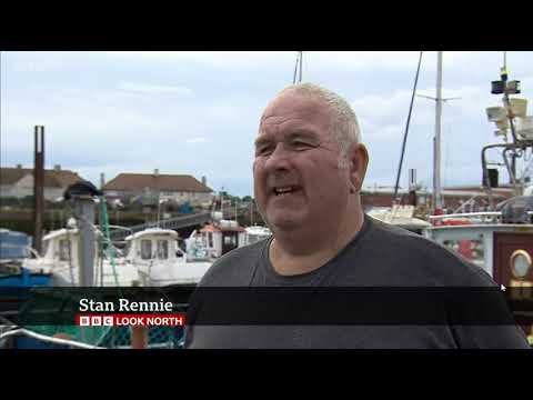 North Sea Die - offs BBC Look North 12 04 23