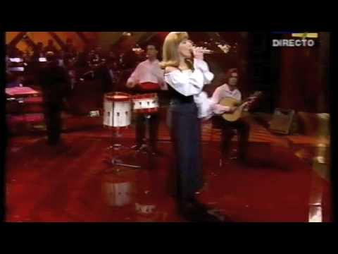 Malmequer do Campo - Isabel Campelo