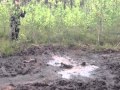GIFs With Sound Compilation