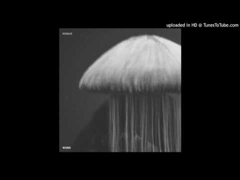 NOMAZ - Si vis pacem para bellum [W8RD004]