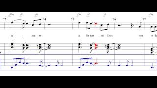 Amare Al Señor Mi Dios