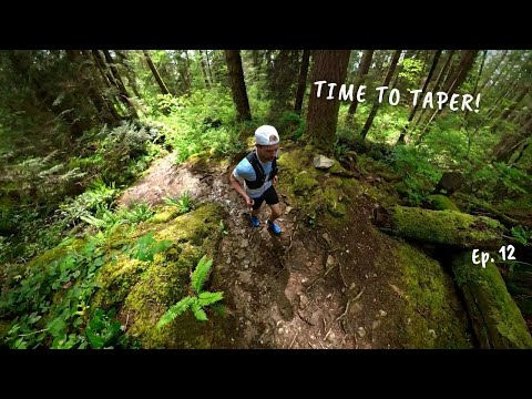 Taper Time, Bears are Awake! - Training Diaries // Ep 12