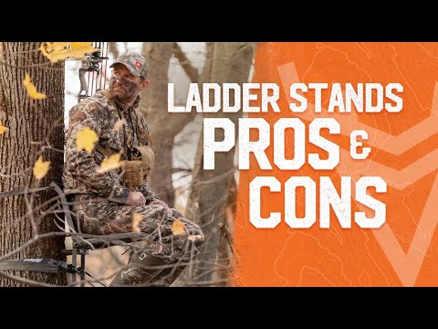 Pros and Cons of Ladder Stands for Deer Hunting | Wired To Hunt