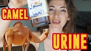 what I did with Camel URINE... the miracle cure !