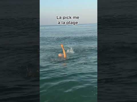 Elle pense être une pépite .. c’est un pépito 🤣 #humour #parodie #plage #rire #drole